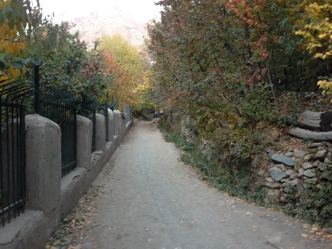 طبیعت زرد پاییزی کوچه باغ های روستای آهار 